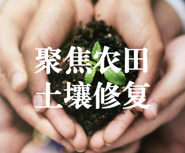 聚焦農(nóng)田土壤修復(fù)，保障糧食產(chǎn)品安全 ——踔厲奮發(fā)、篤行不怠，以奮斗之姿獻(xiàn)禮黨的二十大